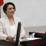 CHP'li Şevkin: Her iki kişiden biri işsiz 23 CHP'li-Müzeyyen-Şevkin--35-milyar-dolar-deprem,-23.5-milyar--lira-imar-affı-parasını-ne-yaptınız-