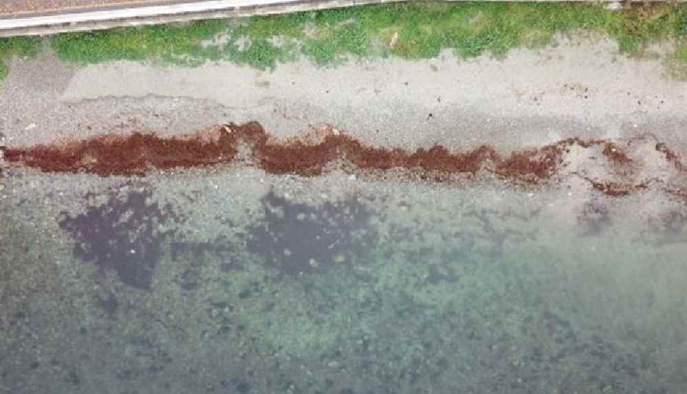 Caddebostan'da denizin rengi kırmızıya büründü