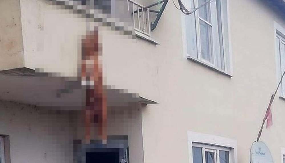 Edirne'de köpeğin balkon korkuluklarına asılı halde bulunduğu evin sahibine para cezası