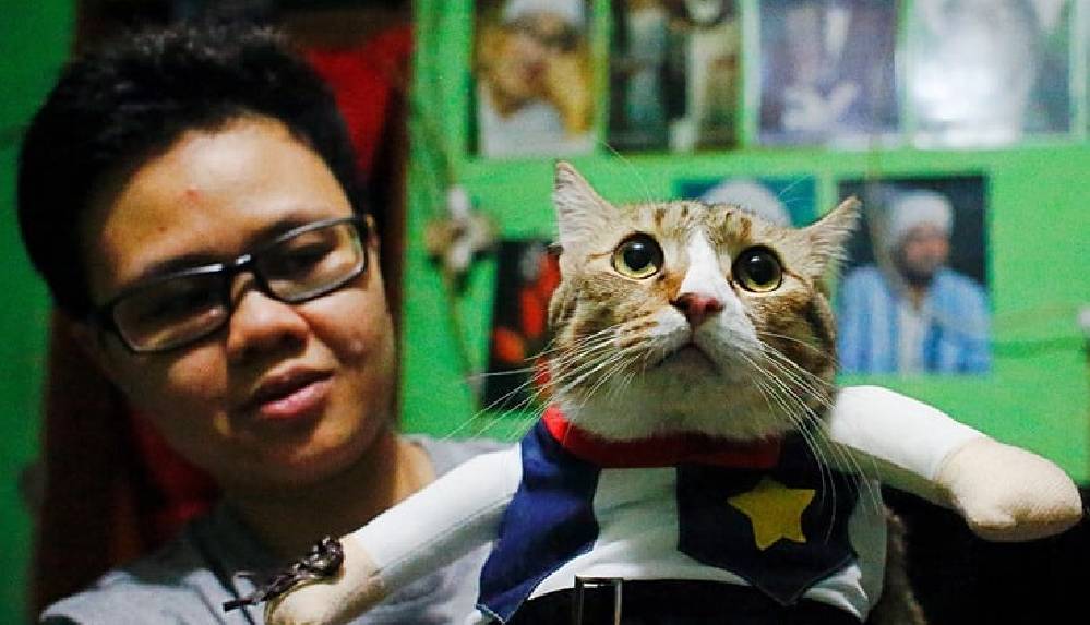 Endonezyalı kedi terzisi: Tesettürden süper kahraman kostümüne geniş bir koleksiyon sunuyor