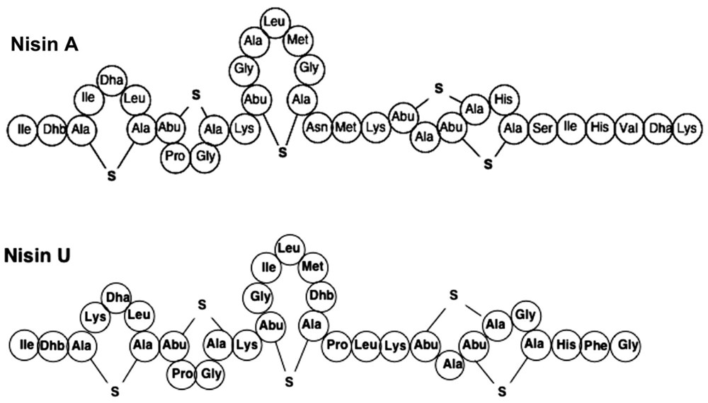 Koronavirüse karşı bağışıklığı güçlü tutacak 5 gıda önerisi