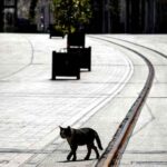 İçişleri-Bakanlığı'ndan-'sokağa-çıkma-kısıtlaması'-genelgesi;-İşte-ayrıntılar...