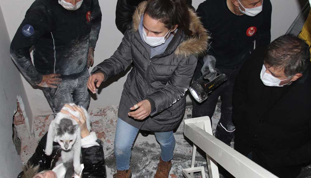 İki-bina-arasına-sıkışan-'Aşık'-adlı-kedi-kurtarıldı,-duygusal-anlar-yaşandı-1