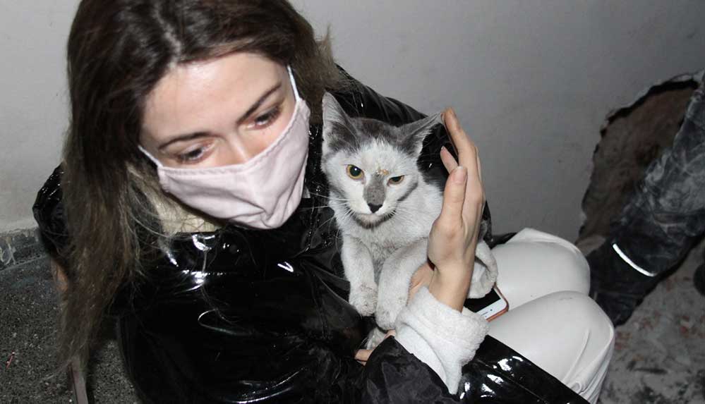 İki bina arasına sıkışan "Aşık" adlı kedi kurtarıldı, duygusal anlar yaşandı