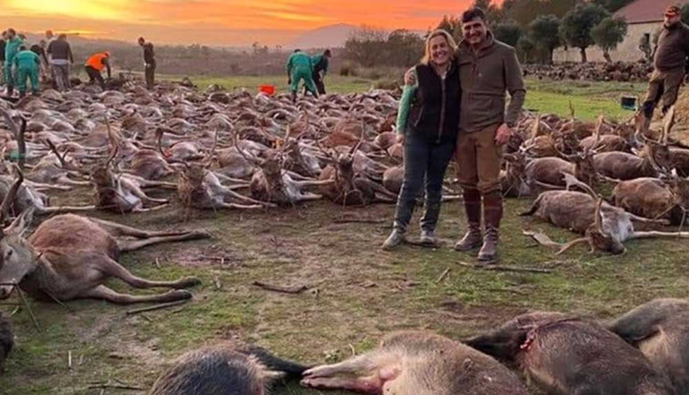 İspanyol avcılardan Portekiz'de 'hayvan katliamı': 540 yabani hayvan iki günde öldürüldü