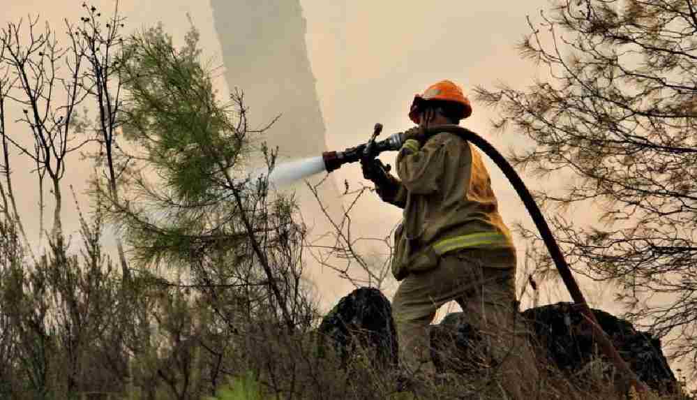 Muğla’da bu sene 813 hektar orman yandı