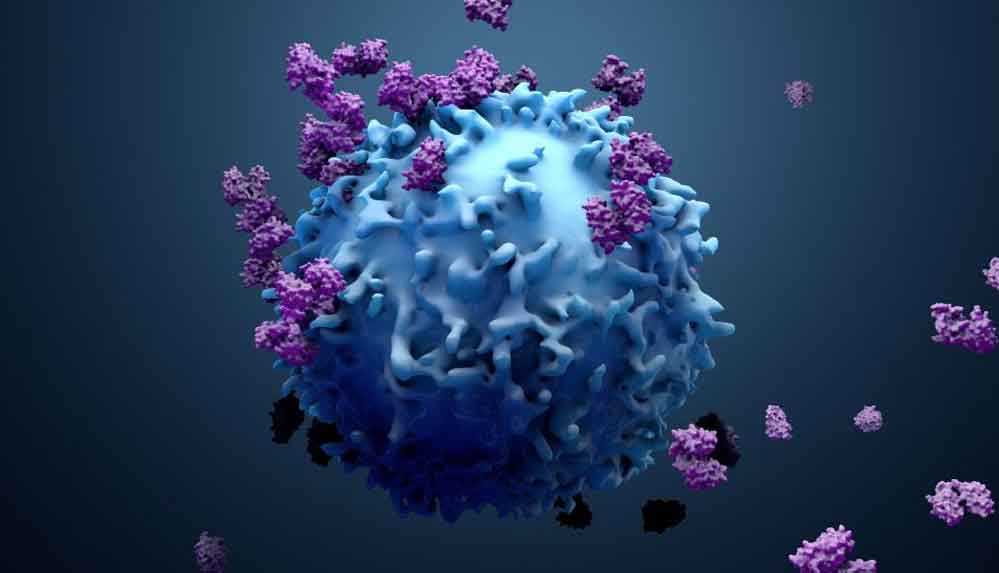 T hücreleri, koronavirüse karşı 'gizli bağışıklık' mı sağlıyor?