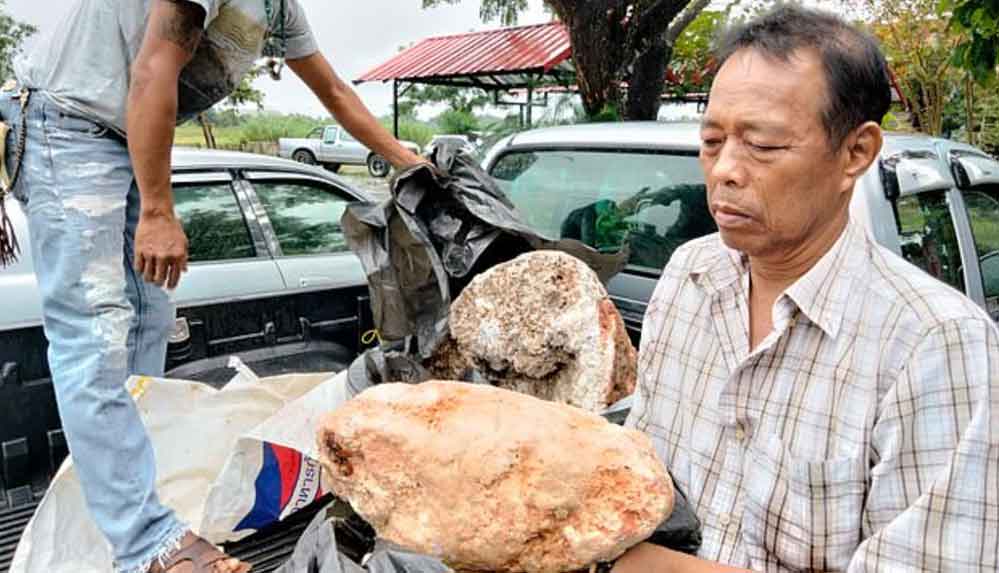 Tayland'da bir balıkçı 2,4 milyon pound değerinde ambergris buldu