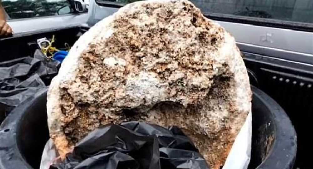 Taylandlı balıkçı buldu! Değeri tam 25 milyon TL 1 Taylandlı balıkçı buldu! Değeri tam 25 milyon TL