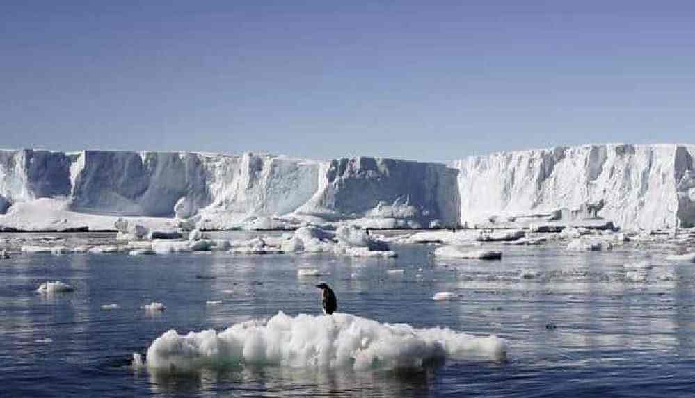 Virüs Antarktika’da da görüldü: 36 vaka tespit edildi