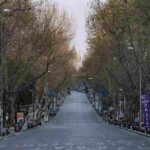 Yılbaşı sokağa çıkma yasağında marketler açık olacak mı_