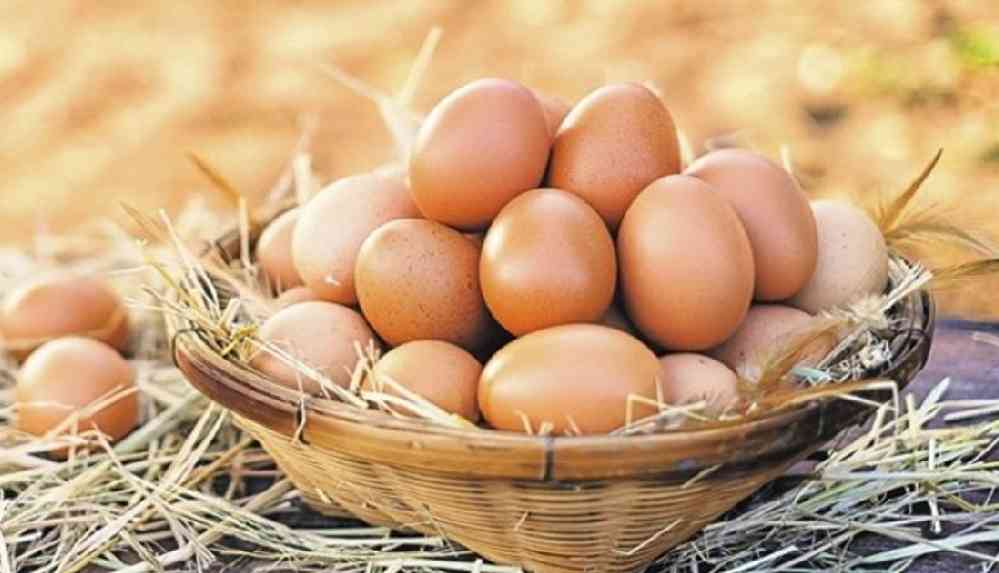 Yumurta fiyatları neden arttı?