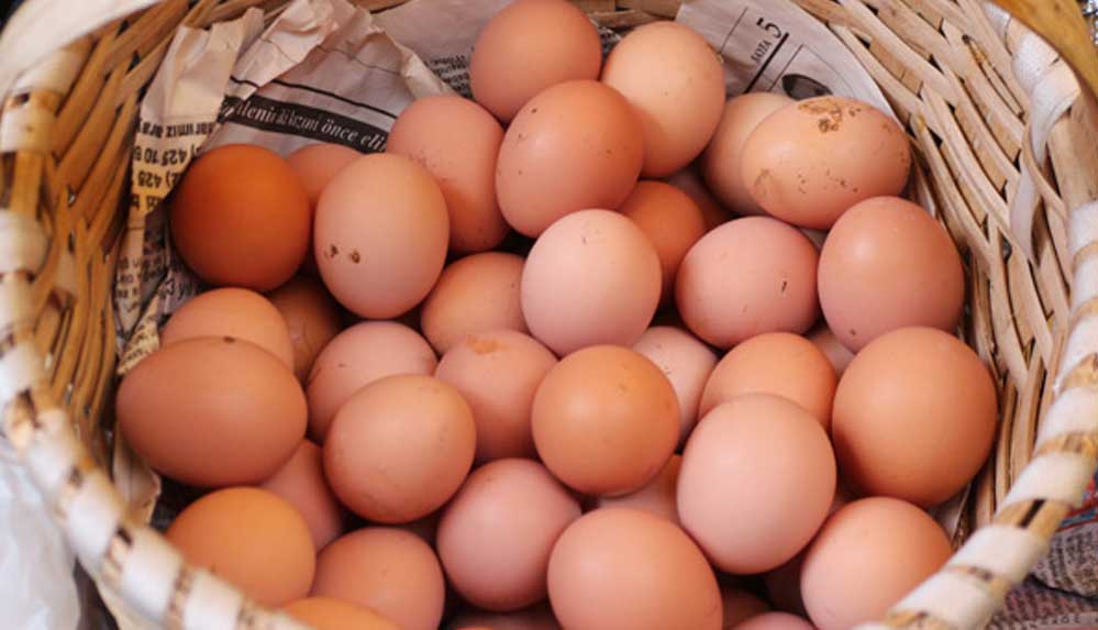 Yumurtanın-fiyatı-tavuğu-geçti