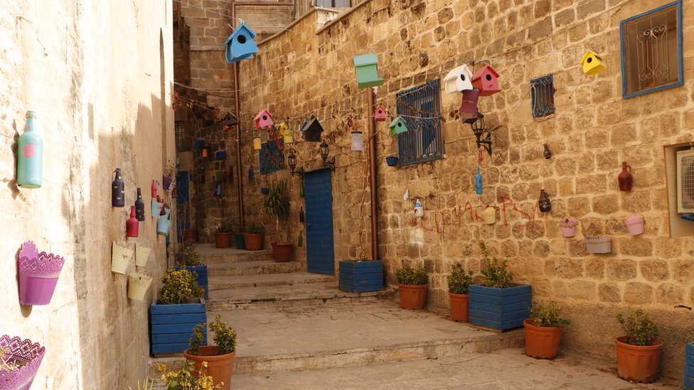 Mardin'de 11 bin ağaç diken 'Şeyhmus Amca'nın hikayesi 3 Mardin'de 11 bin ağaç diken 'Şeyhmus Amca'nın hikayesi