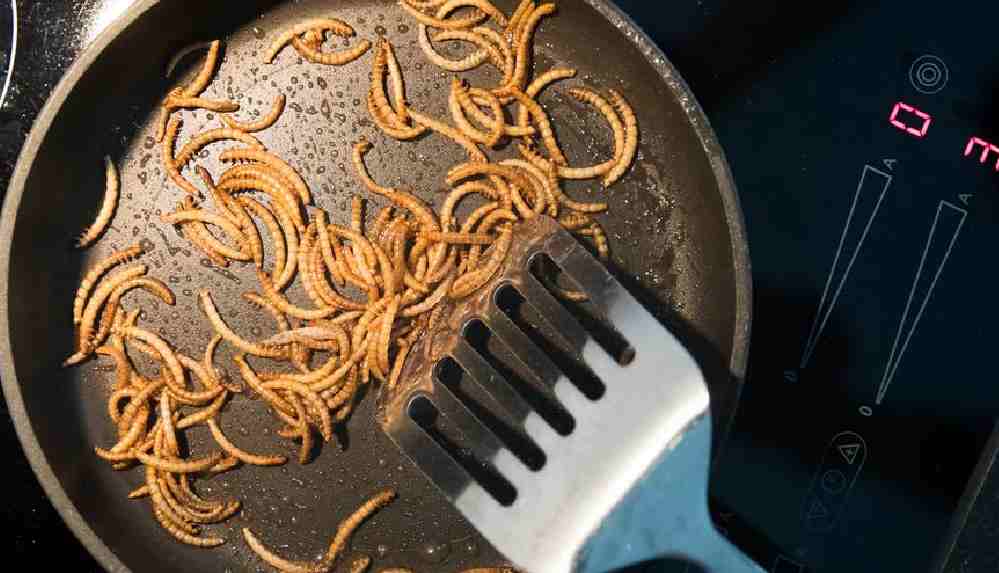 AB'de böcekli yiyeceklere yeşil ışık