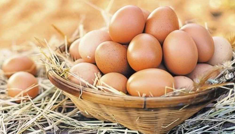 Bozuk yumurta nasıl anlaşılır?