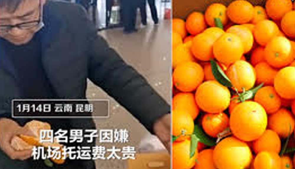 Ekstra bagaj ücreti vermek istemeyince 20 dakikada 30 kilo portakalı yediler