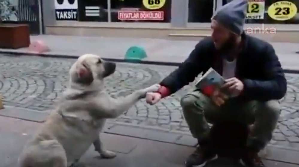 Hayvan-sevgisi-ve-hoşgörünün-resmi-Fındıklı'dan