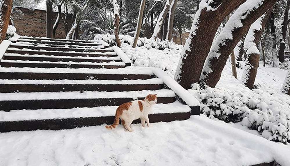 Meteorolojiden İstanbul için yoğun kar yağışı uyarısı