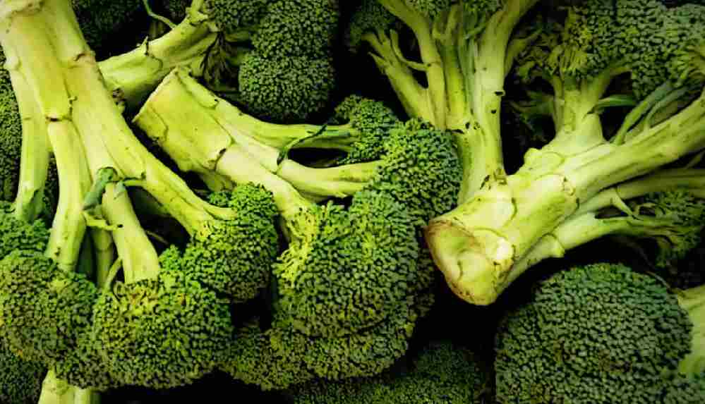 Kanser savaşçısı brokolinin faydaları ve zararları nelerdir?