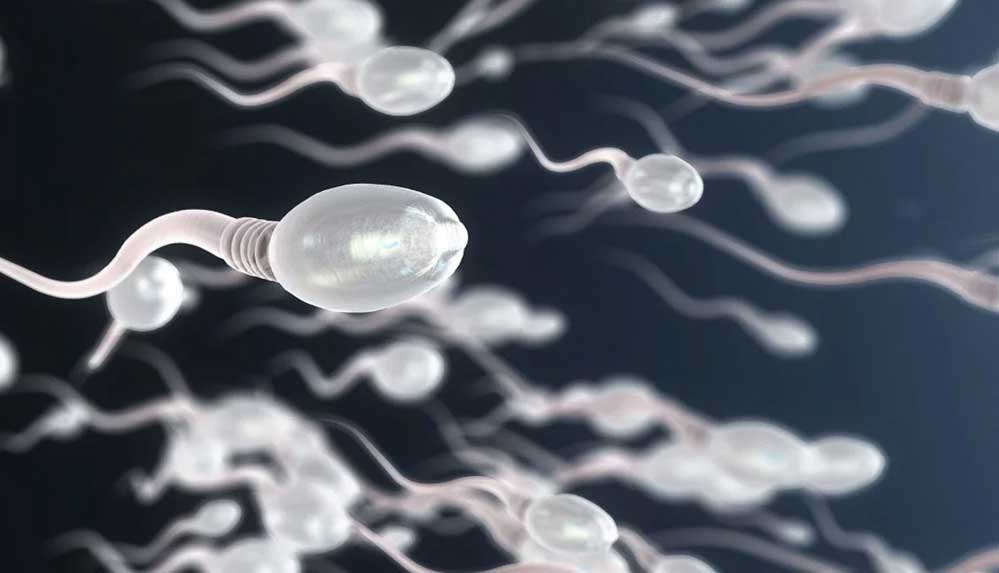 Koronavirüs sperm kalitesini düşürüyor: 'Erkek üreme sistemi DSÖ tarafından riskli organ ilan edilsin'