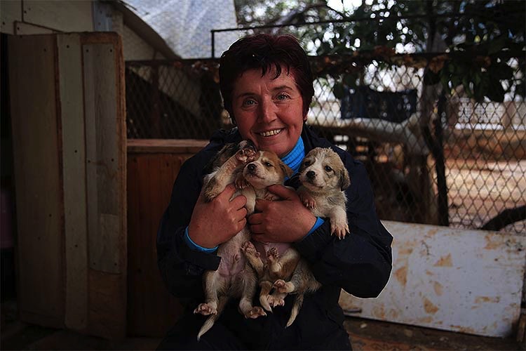 Üç tekerlekli bisikletiyle sokak hayvanlarının karnını doyuruyor