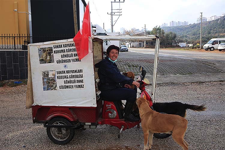 Üç tekerlekli bisikletiyle sokak hayvanlarının karnını doyuruyor
