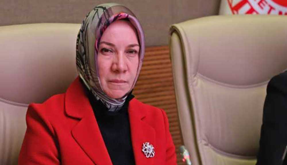 AKP'li-vekil-Nergis--Artık-ev-sahibi-olmak,-araba-sahibi-olmak-hiç-zor-deği