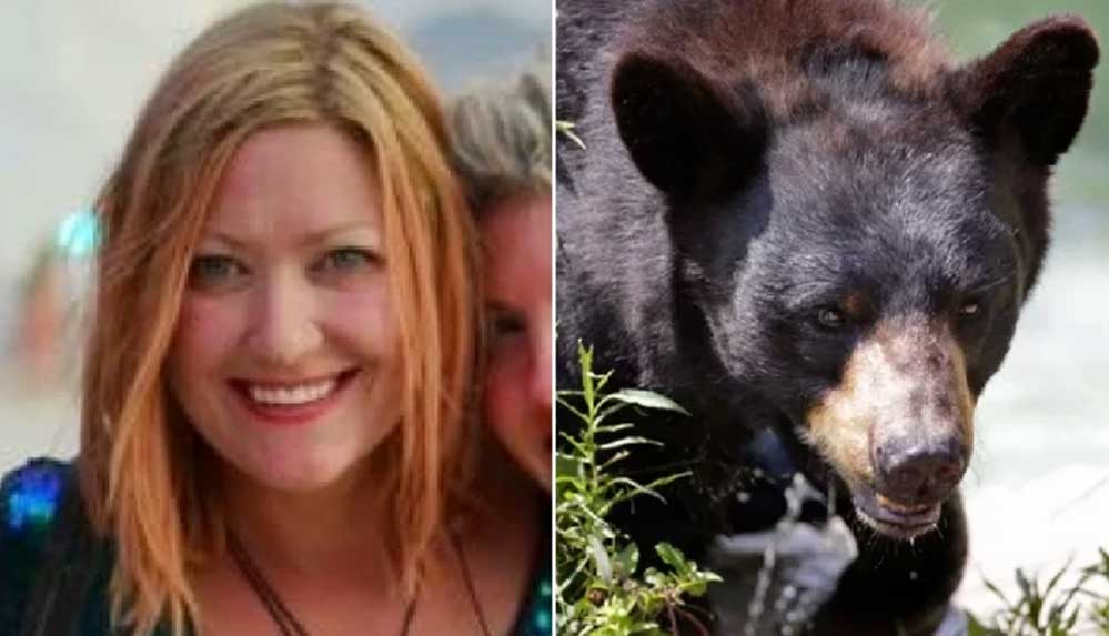 Alaska'da bir kadına tuvalette ayı saldırısı: Oturdum ve bir şey anında popomu ısırdı