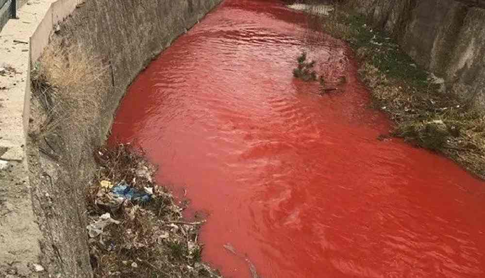 Ankara Çayı kırmızıya boyandı