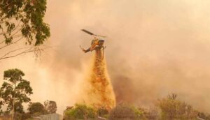 Avustralya'da orman yangınında binlerce kişiden evlerini terk etmesi istendi