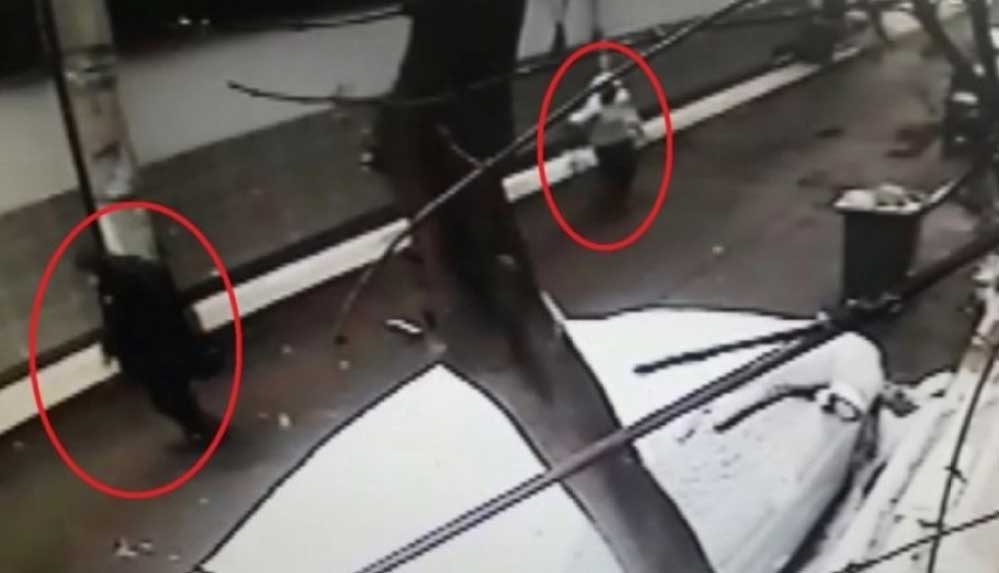 Bursa’da-gazeteci-Ferruh-Varanoğlu'na-silahlı-saldırı-kamerada