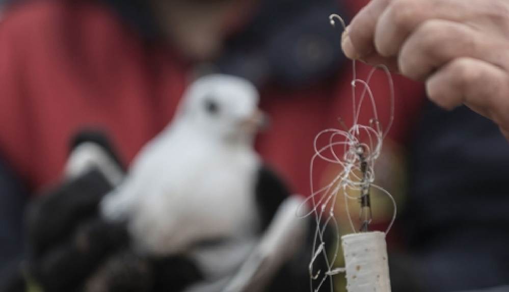 Büyükşehir itfaiyesi önce martıyı, sonra tekneyi kurtardı