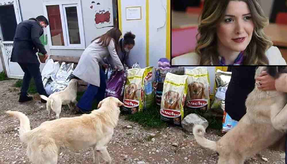 'Camide Çav Bella' hakaretleri sokak hayvanlarına mama oldu