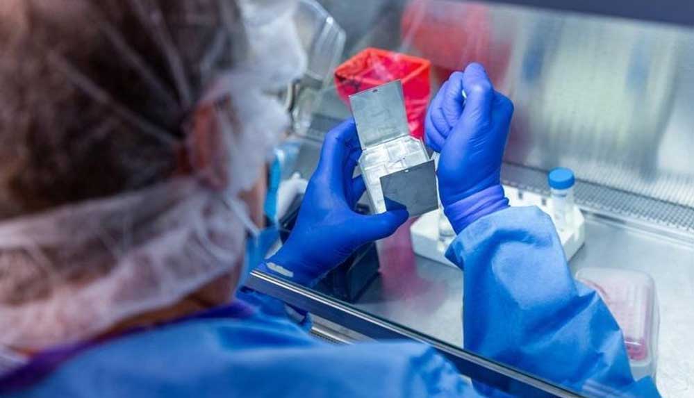 DSÖ--Corona-raporu-bize-virüsün-kökenini-anlamak-için-önemli-bilgiler-verecek