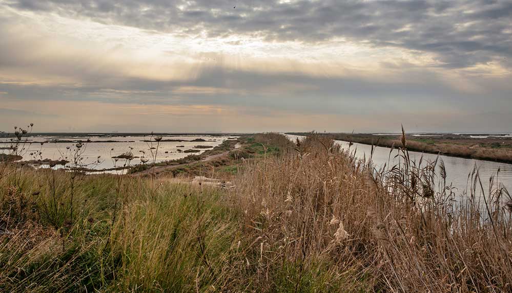 Dünya Sulak Alanlar Günü'nde uzmanlardan uyarı: Sulak alanlar kuruyor