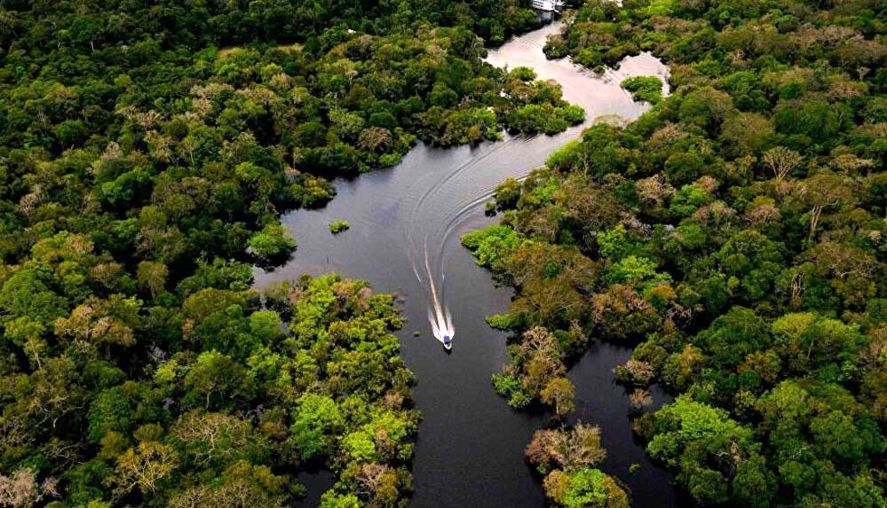 Facebook'ta-satılık-Amazon-yağmur-ormanları