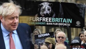 İngiltere Başbakanı Boris Johnson'a sanatçılardan "kürkü yasakla" çağrısı