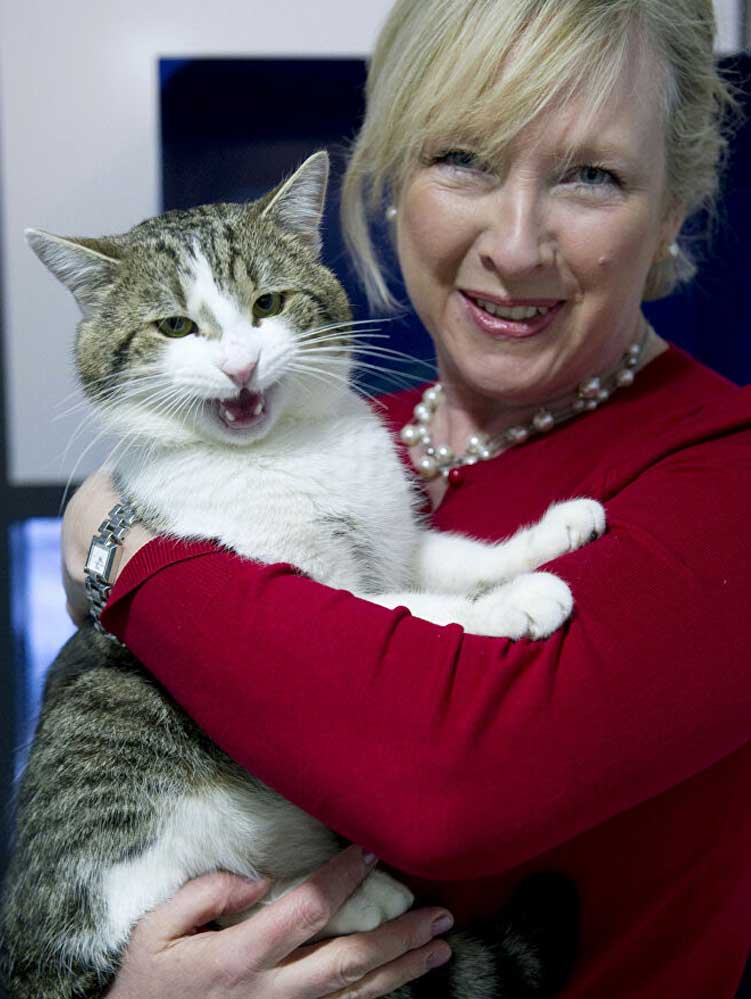 İngiltere’nin resmi fare avcısı kedi Larry, tam 10 yıldır görevinin başında