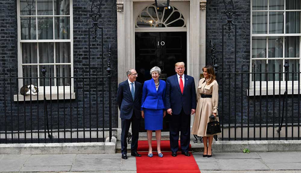 İngiltere’nin resmi fare avcısı kedi Larry, tam 10 yıldır görevinin başında