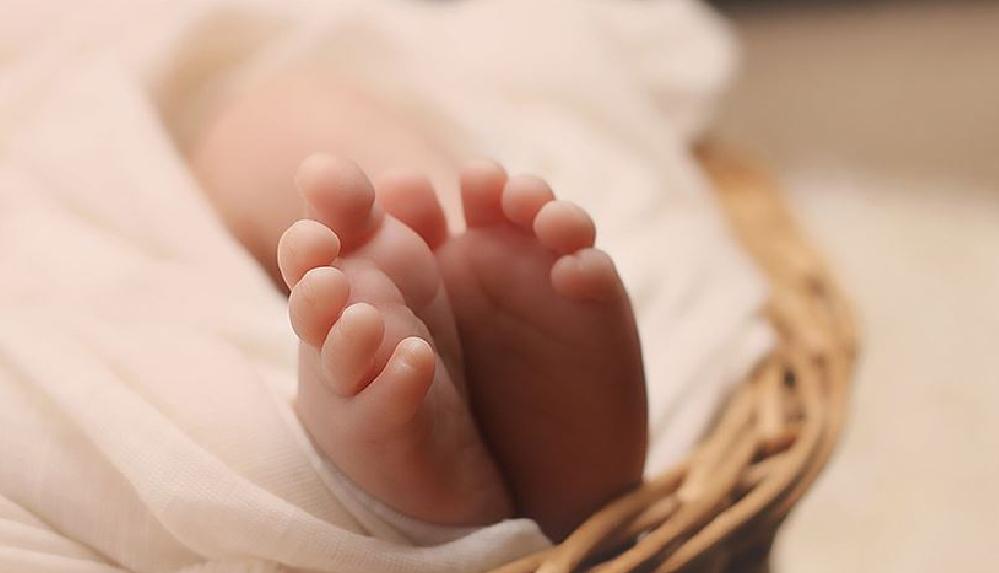 Kalabalık aileleriyle meşhur İtalya'da doğum oranı yüzde 22 düştü