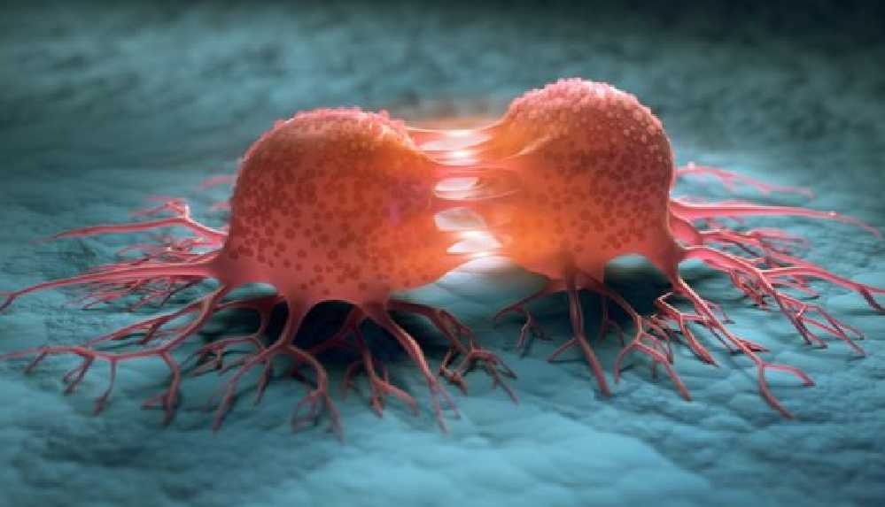 Kanser vakalarının en az üçte birini önlemek mümkün