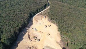 Kuzey Ormanları Savunması’ndan İstanbul RES Projesi’ne iptal davası