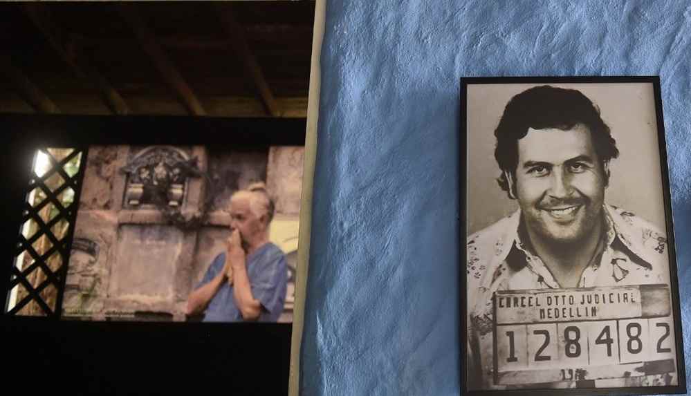 "Pablo Escobar'ın su aygırları yok edilmeli"