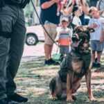 Polis köpekleri ve atlarına emeklilik müjdesi 7 Polis köpekleri ve atlarına emeklilik müjdesi