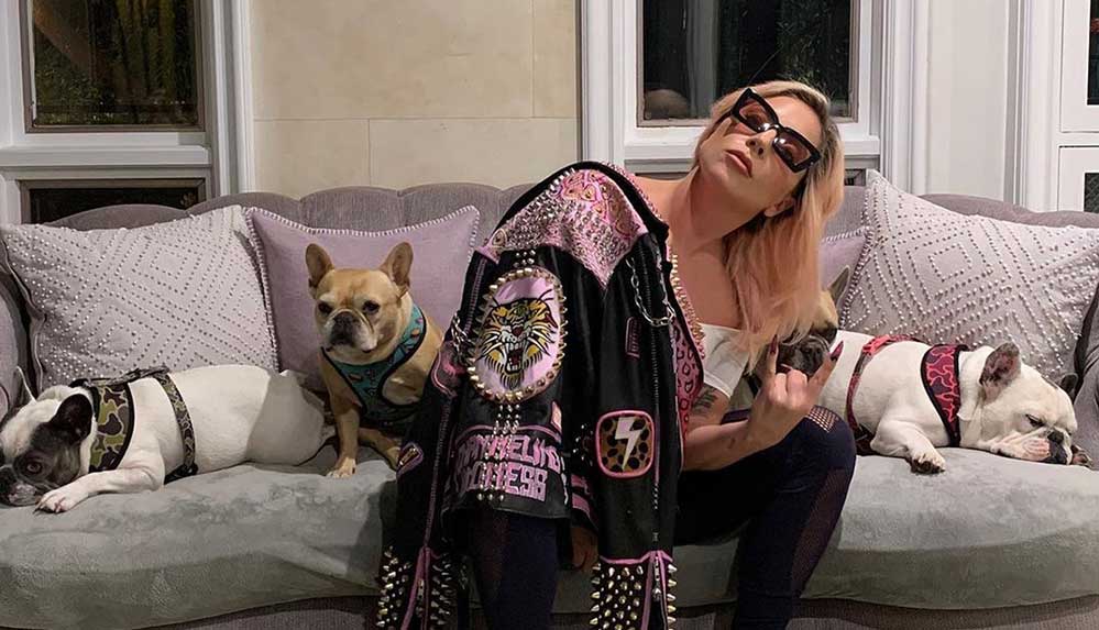 Silahlı-saldırı-sonrası-köpekleri-çalınan-Lady-Gaga,-getirene-500-bin-dolar-ödül-vaat-etti