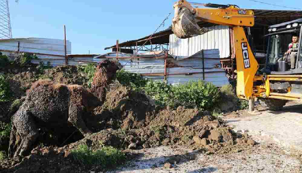 Su kanalına düşen deveyi itfaiye kurtardı