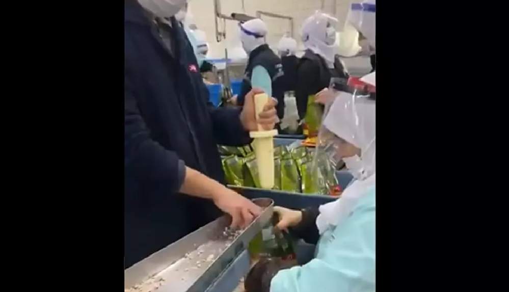 Ton balıklarının paketlenme görüntüleri tepki çekti_ Demek ki el değmeden üretilmiyormuş