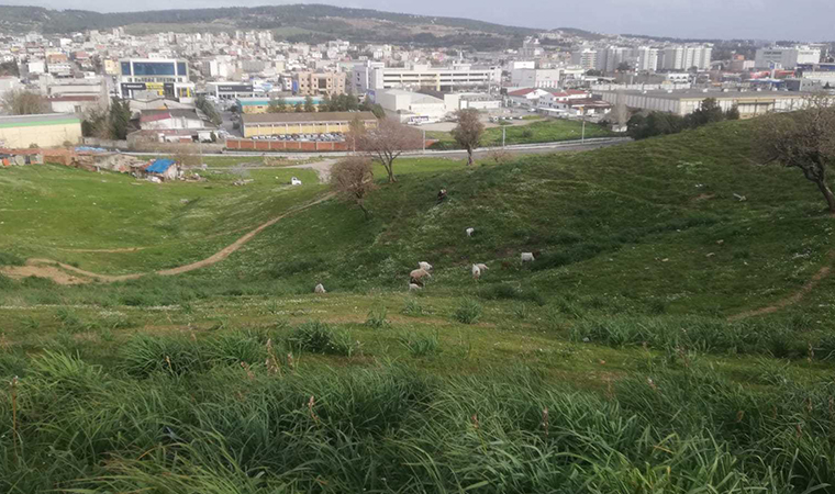 İzmir'in Çernobili'nde korkutan görüntüler