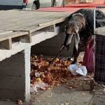 "Artıklarla doymaya çalışıyoruz" 11 _Artıklarla doymaya çalışıyoruz_